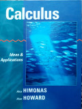 Calculus : ideas and applications